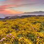 King Range National Conservation Area - Lost Coast