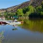 The Painted Turtle Camp