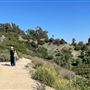 Griffith Park Redwoods - Cedar Grove