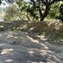 Griffith Park Redwoods - Cedar Grove