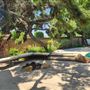 Nedra Drive House