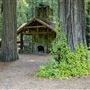 Humboldt Redwoods State Park (SP)