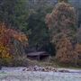 Marshall Gold Discovery State Historic Park (SHP)