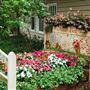 Cambria Pines Lodge & Cambria Christmas Market