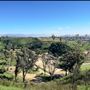 Will Rogers State Historic Park (SHP) & Polo Field