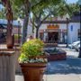Old Town Los Gatos