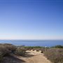 Blacks Beach and Scripps Institution of Oceanography Pier @ UC San Diego - UCSD