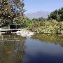 Los Angeles County Arboretum