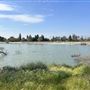Peck Road Water Conservation Park