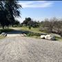 Peck Road Water Conservation Park