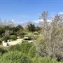 Peck Road Water Conservation Park