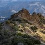 Mount Diablo State Park (SP)