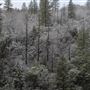 South Yuba River State Park (SP)
