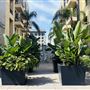 Long Beach Promenade