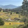 Bufford Ranch, managed by Golden Ranch Estates