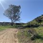 60 Acres Ranch