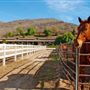 Wolfe Canyon Ranch