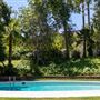 Vintage Hollywood Vibes – Secluded Palm-Lined Mid-Century Pool Oasis Wrapped In Lush Greenery – A Filmmaker’s Dream!