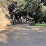Boy Scout Trail - Griffith Park