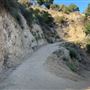 Boy Scout Trail - Griffith Park