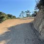 Boy Scout Trail - Griffith Park