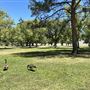 Santa Fe Dam Recreational Area