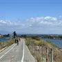 Ballona Creek Bridge & Bike Path