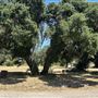Peter Strauss Ranch - National Park Service (NPS)