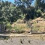 Peter Strauss Ranch - National Park Service (NPS)