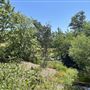 Peter Strauss Ranch - National Park Service (NPS)