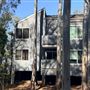 Rustic and Artistic Woodland Home