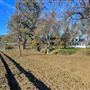 Solace Ranch & Vineyard