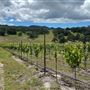 Santa Margarita Ranch