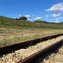 Halter Ranch