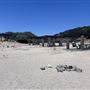 Pyramid Lake