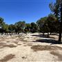 Apollo Community Regional Park