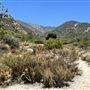 Deukmejian Wilderness Park