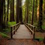 Hendy Woods State Park (SP)