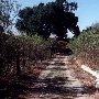 McFadden Ranch House at Limestone Canyons & Whiting Ranch Wilderness Park