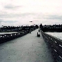 Monterey Municipal Wharf #2