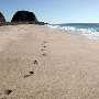 Point Mugu State Park (SP) - CFC