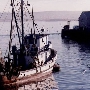 Monterey Municipal Wharf #2