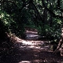 Nojoqui Falls Park