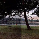 Avocado Lake