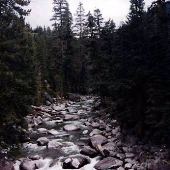 Stanislaus River, Tuolumne County