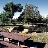 Yorba Regional Park