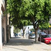 7th St. and Carondelet St.