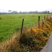 Elk River Grassland