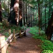 Limekiln State Park (SP)