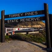 Torrey Pines State Natural Reserve (SNR)